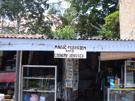 Magic mushroom and laundry service
