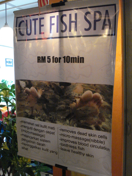 Cute Fish Spa