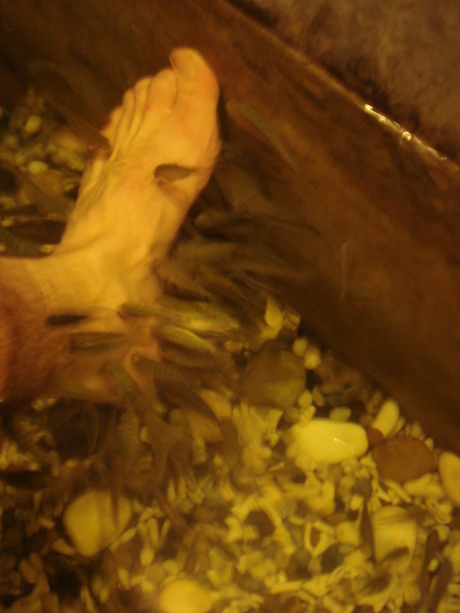 Fish Foot Massage