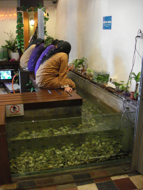 Fish Foot Spa