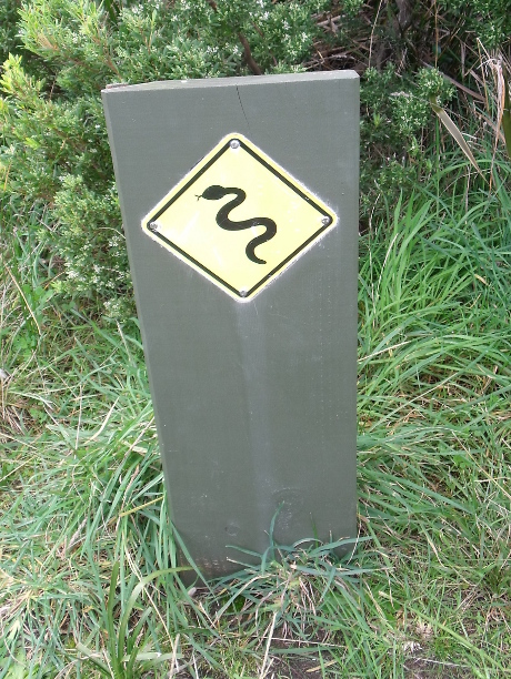 Beware of snakes