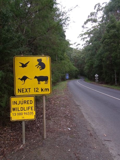 Wildlife and farm animals