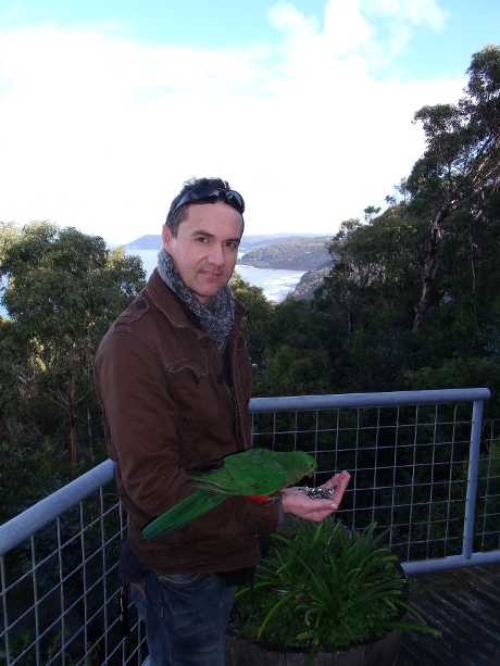 Feeding Australian King-Parrot