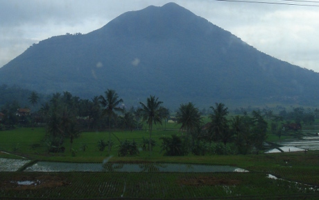 Java from the train