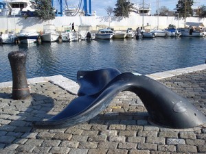 Whale tail seat