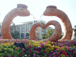 Year of the Snake