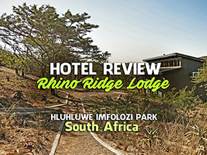 Lodge and safari review: Rhino Ridge Safari Lodge, Hluhluwe-Imfolozi ...